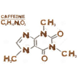 Химический состав кофейных зерен