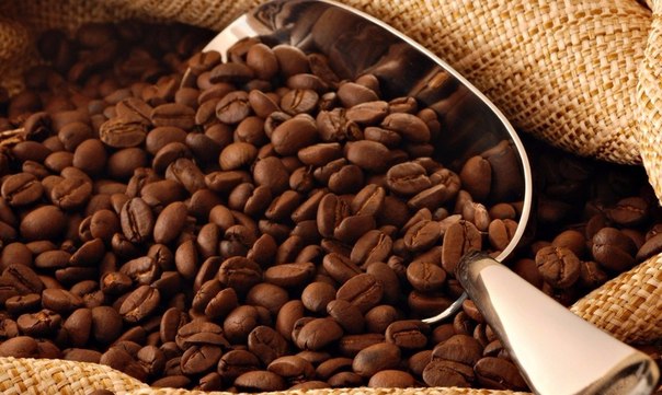Полезные свойства кофе для организма